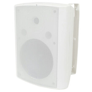 30w Speaker wall