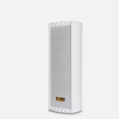 40w Speaker outdoor