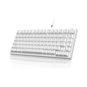 AJAZZ AK820 Wired White